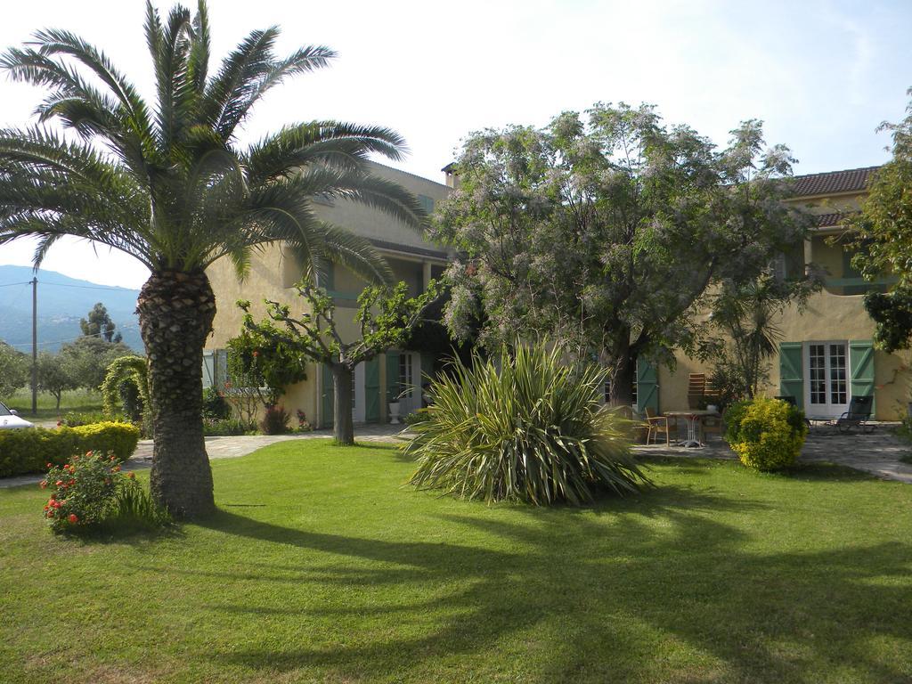 Auberge Les Oliviers Lucciana  Εξωτερικό φωτογραφία