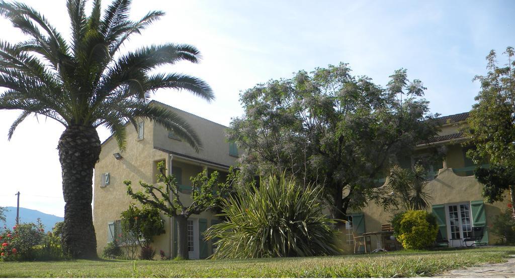 Auberge Les Oliviers Lucciana  Εξωτερικό φωτογραφία