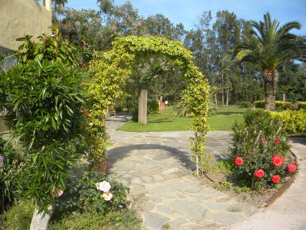Auberge Les Oliviers Lucciana  Εξωτερικό φωτογραφία