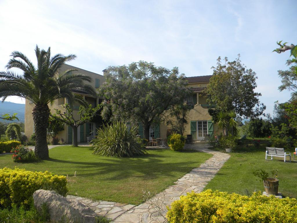 Auberge Les Oliviers Lucciana  Εξωτερικό φωτογραφία